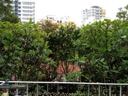 The Callista (D12), Apartment #503193261